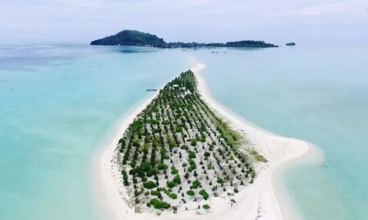 Inilah 7 Fakta Unik Tentang Pulau Bawean, Perawan Suci dari Gresik