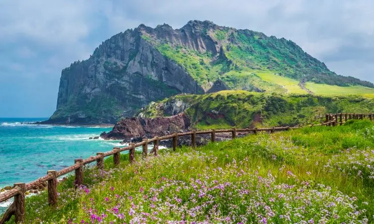 Jika Ke Korea Maka Wajib Mengunjungi Pulau Jeju Yang Menyimpan Banyak Keindahan