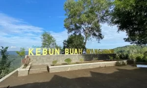 Liburan Long Weekend, Kunjungi 5 Destinasi di Jogja Ini