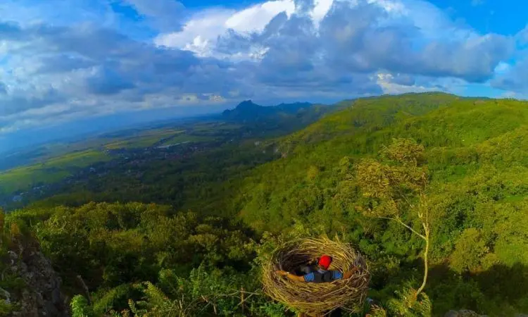 Mau Jadi Anak Burung? Yuk, Ke Wisata Sangkar Burung Raksasa di Bukit Jomblo Tulungagung