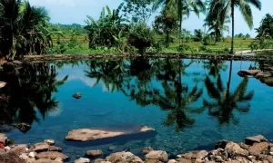 Yuk, Berwisata ke Mata Air Citaman yang Airnya Jernih dan Sedingin Es!
