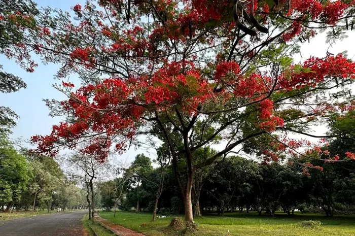 Fasilitas Wisata yang Tersedia