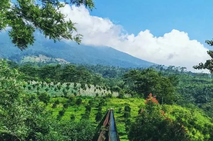 Kegiatan Seru yang Dapat Dilakukan