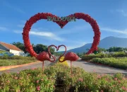 Batu Love Garden, Mengenal Destinasi Wisata dengan Sejuta Pesona di Malang