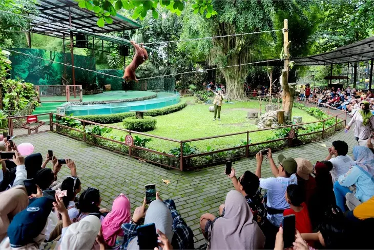 Gembira Loka Zoo: Wahana dan Aktivitas Menarik