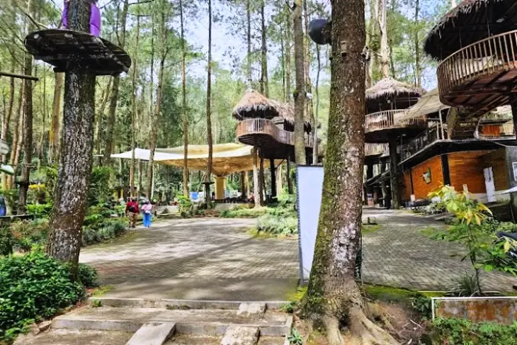 Kopeng Treetop Adventure Park
