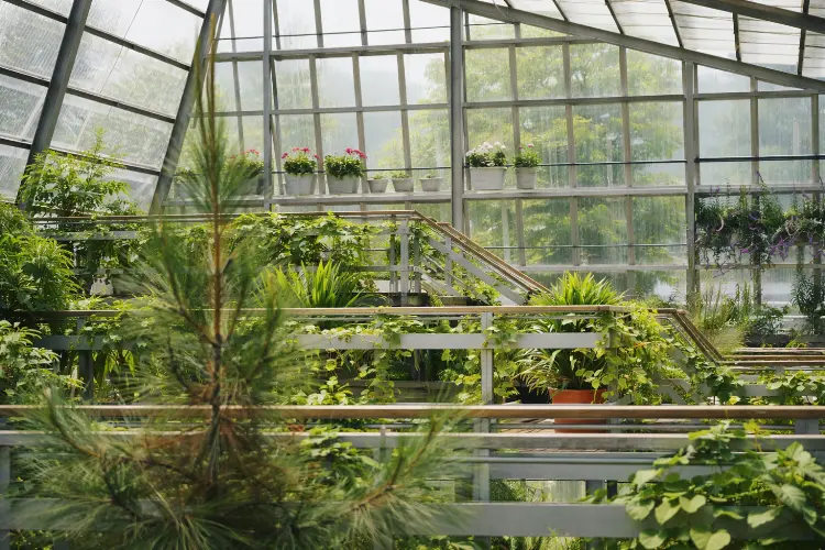 Rumah Atsiri Indonesia, Karanganyar - Jawa Tengah