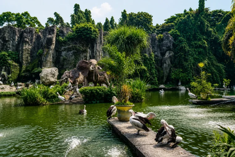 Kebun Binatang Ragunan, Wisata Keluarga yang Edukatif