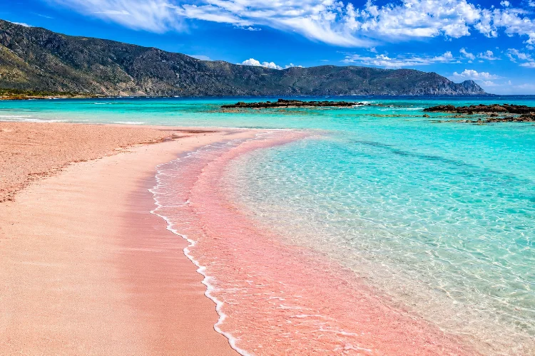Pantai Pink, Pantai Unik dengan Pasir Berwarna Pink