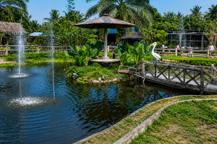 Rahmat Zoo and Park, Kebun Binatang Modern di Sumatera Utara